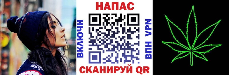Бошки марихуана план Зеленоградск